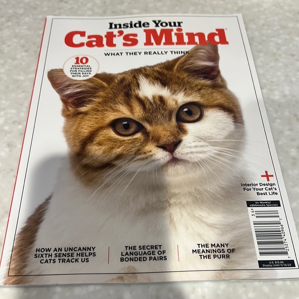 US Weekly Magazine about cats new